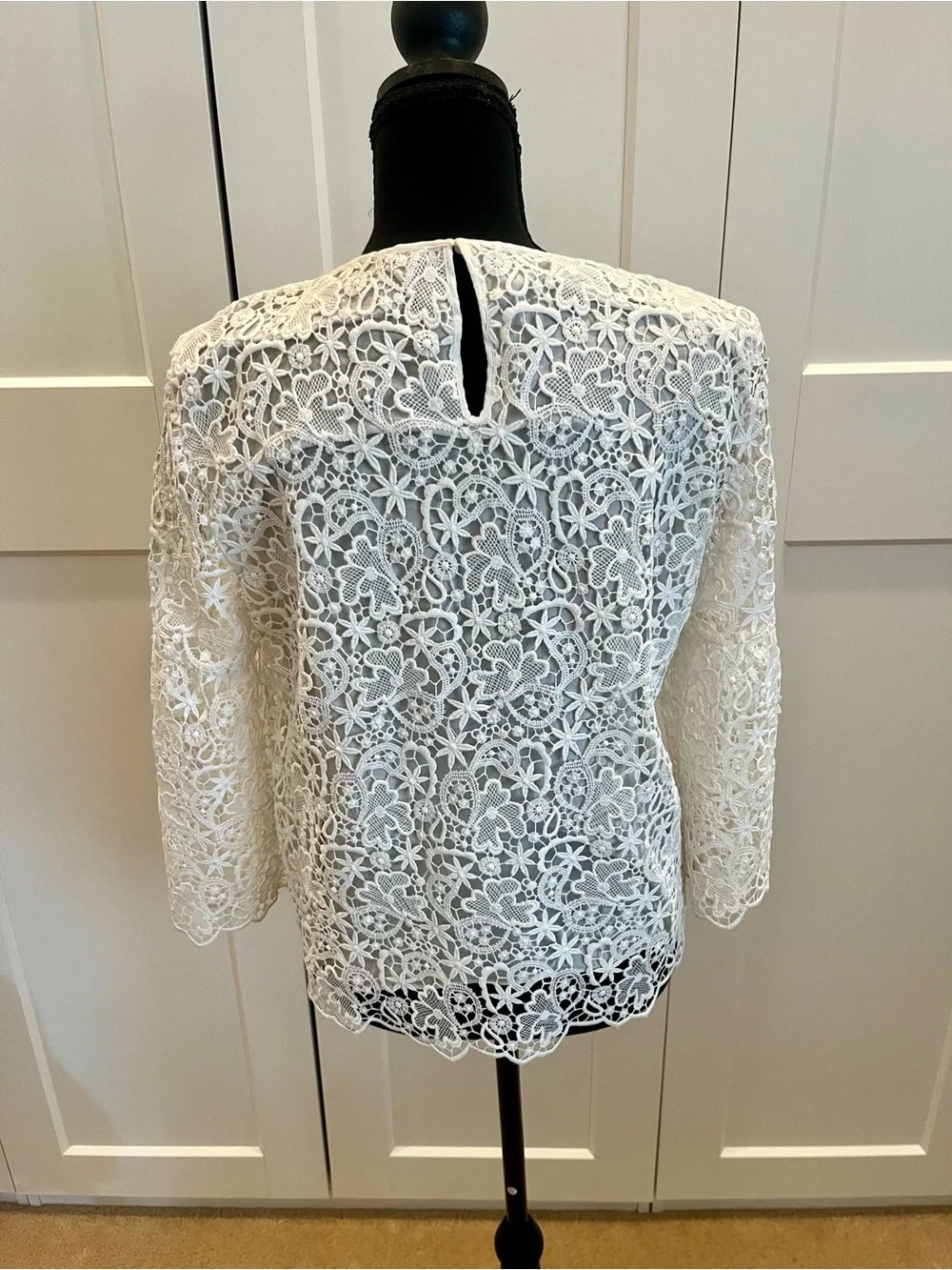 Zara delicate lace
